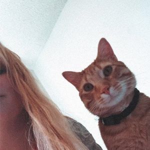 Meet your Posher, Avis